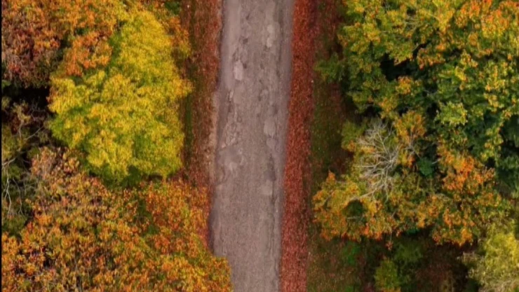 Sinop'ta Sonbahar Güzelliği