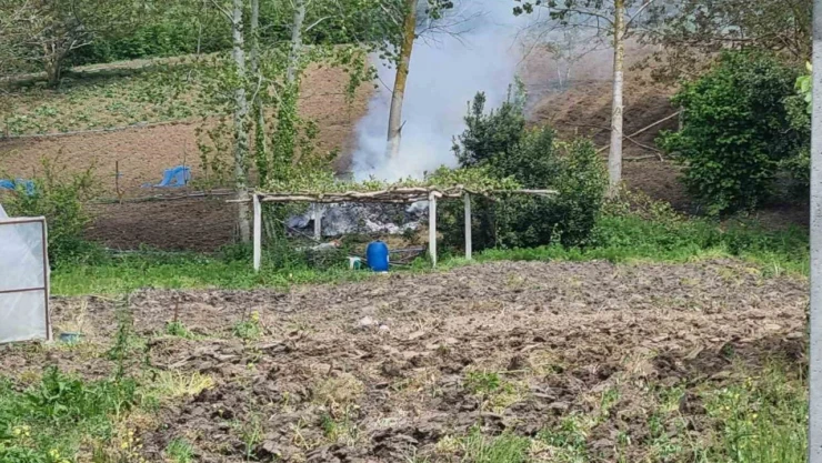 Sinop'ta Tarlada Yangın Paniği