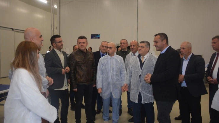 Sinop'ta Temel Sektörlerin Rekabetçiliğinin Artırılması Projesi