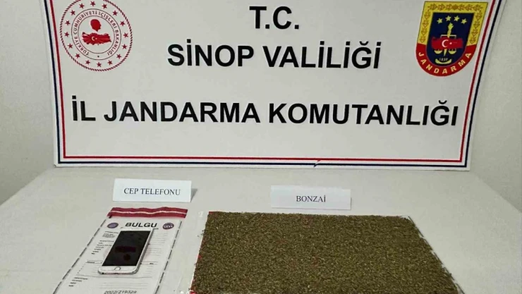 Sinop'ta Uyuşturucu Operasyonu