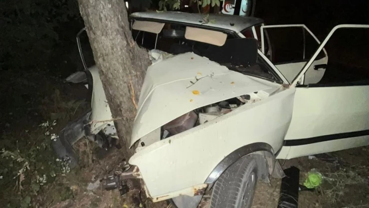 Virajı Alamayan Otomobil Ağaca Çarptı: 2 Yaralı