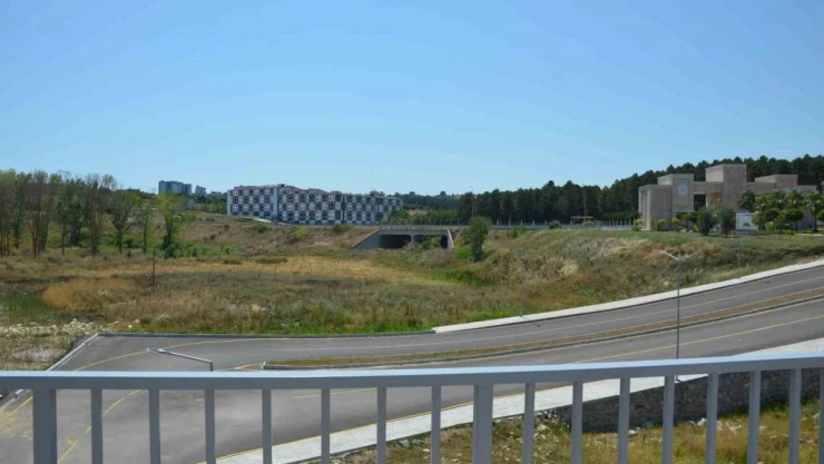 Sinop Teknoloji Bölgesi, Şehrin Yeni İnovasyon Üssü Olacak