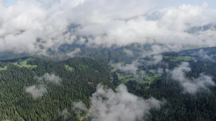 Sis bulutlarından mest eden görüntüler