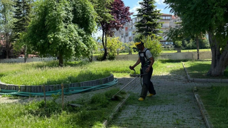 Sivrisinekle Mücadele İçin Sahadalar