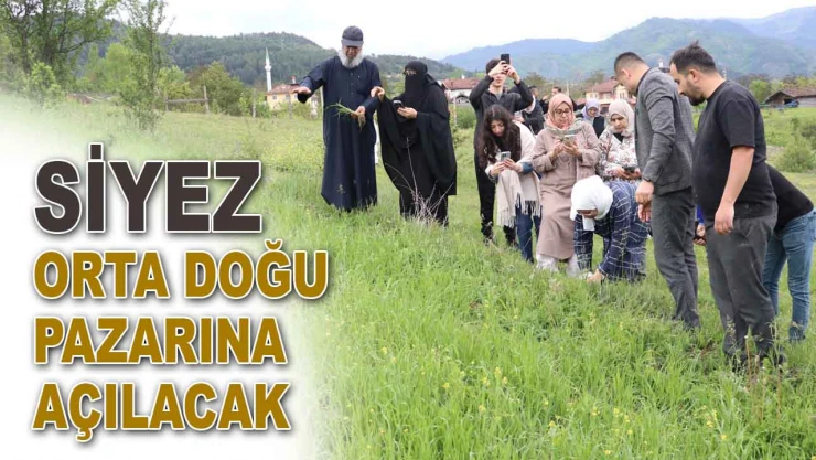 Siyez Orta Doğu Pazarına Açılacak