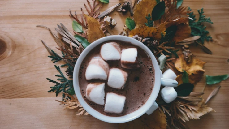 Soğuk Kış Günlerinde İçinizi Isıtacak