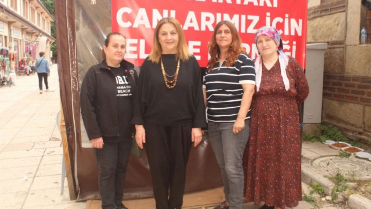 Sokaktaki Canlar İçin El Ele Verdiler