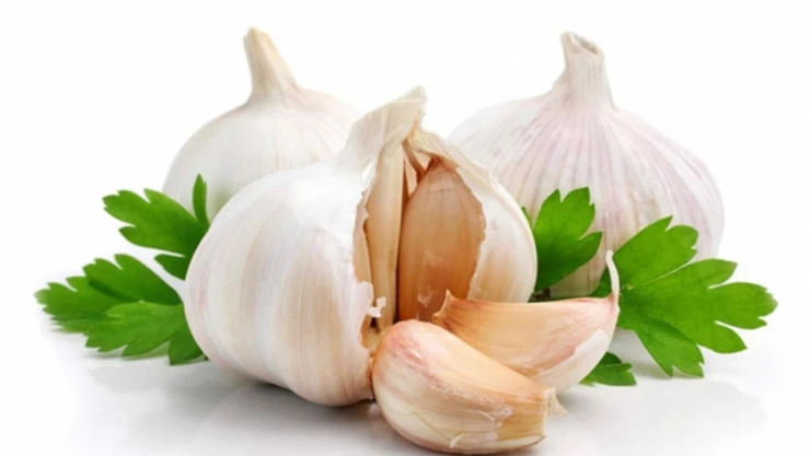 Son 5 yılın en çok sarımsağı 2015'te üretildi