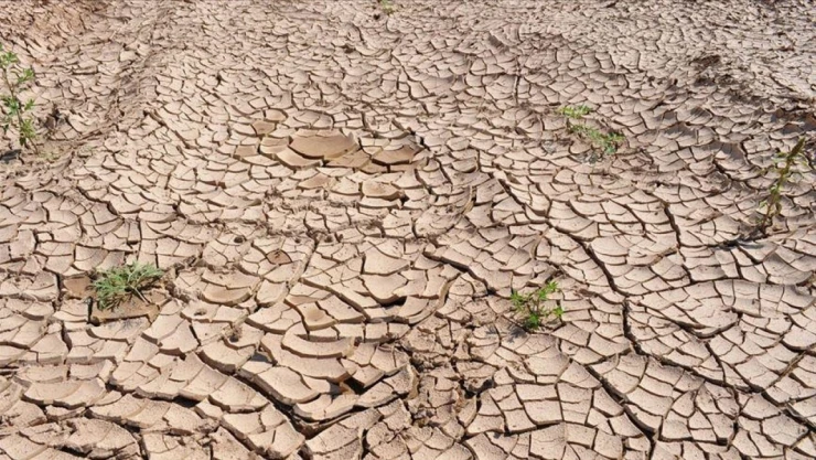 Son 35 Yılın En Kurak Mart Ayı Yaşandı