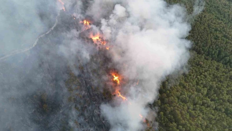 Söndürülen Yangın Yeniden Alevlendi!