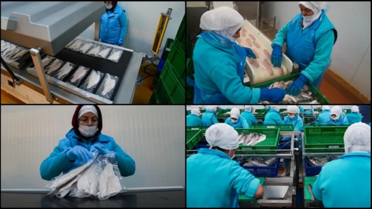 Su Ürünleri İhracatında 2,5 Milyar Doları Geçmeyi Hedefliyorlar