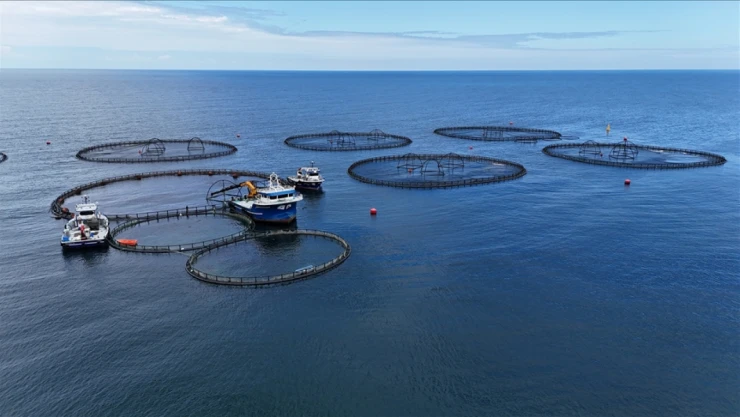 Su Ürünleri Üretimi Azaldı