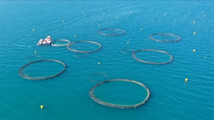 Su Ürünleri Yetiştiriciliği Kriterleri Düzenlendi