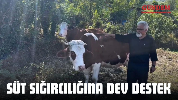 Süt Sığırcılığına Dev Destek