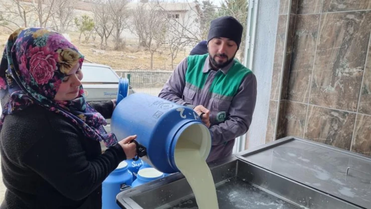 Süt Üreticilerinin Emeği Kazanca Dönüşüyor