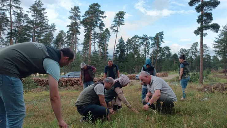 Tabii Tensil Sahaları İncelendi