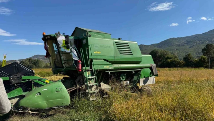 Çeltik Hasadı Başladı