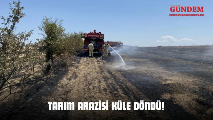 Tarım Arazisi Küle Döndü!