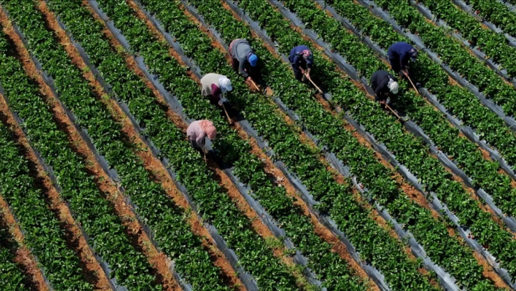 Tarım-GFE'de Artış