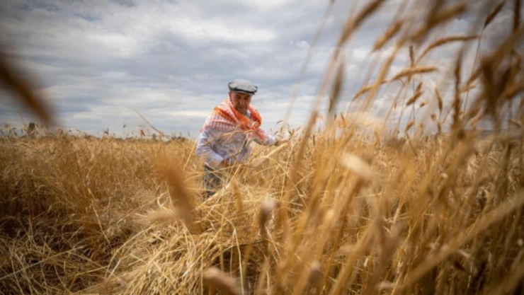 Tarım-GFE Yüzde 0,85 Arttı