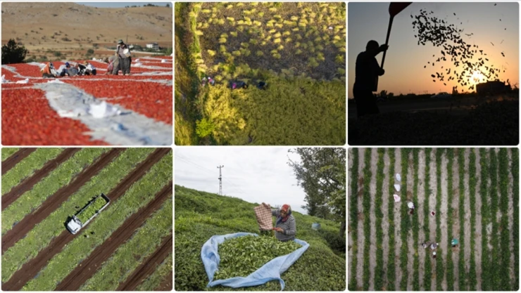 Tarım Sayımına Katılan Çiftçi sayısında Rekor