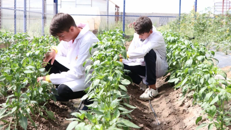 Tarım Ve Gıda Güvenliği Dersinin Müfredatı Hazır