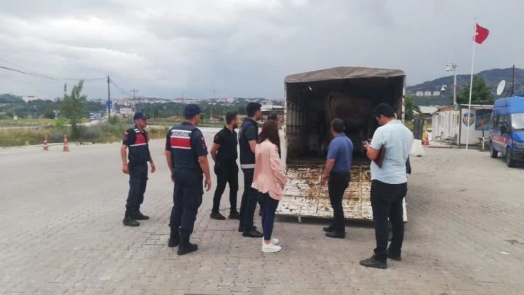 Tarım, yol kontrollerini sıklaştırdı