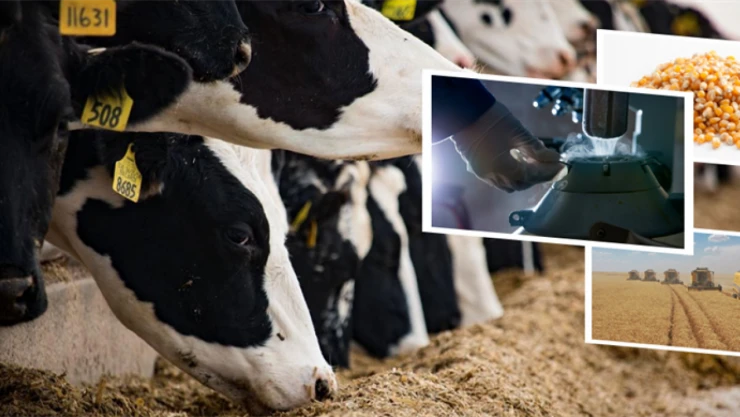 Tarımsal Destekleme Ödemeleri Aktarıldı