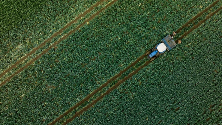 Tarımsal Destekleme Ödemesi Bugün Yapılacak