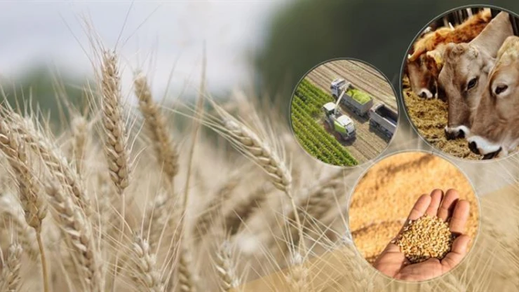 Tarımsal Destekleme Ödemesi Hesaplara Aktarıldı