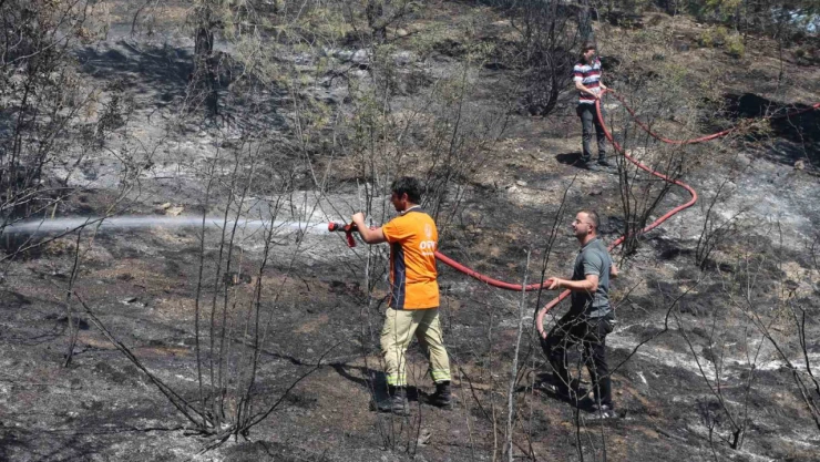 Tarla Yangınında Yeni Gelişme!