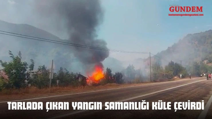 Tarlada Çıkan Yangın Samanlığı Küle Çevirdi