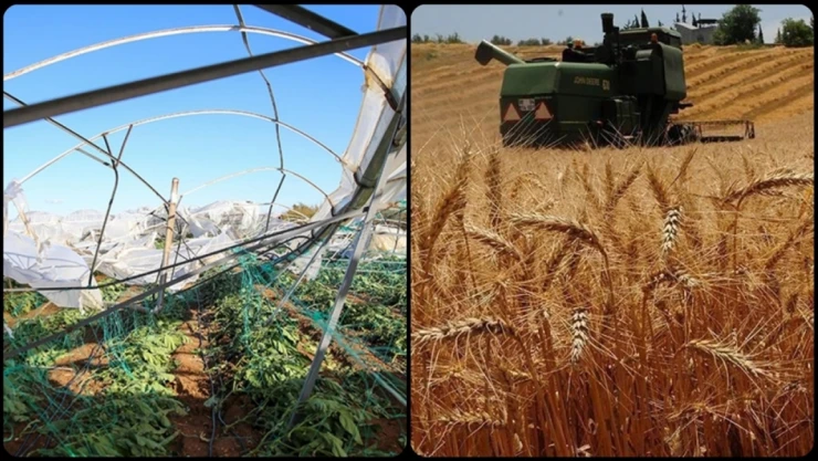 TARSİM'den Üreticilere 27 Milyar Lira Hasar Ödemesi