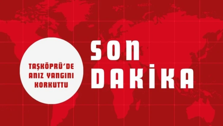 Taşköprü'de Anız Yangını Korkuttu