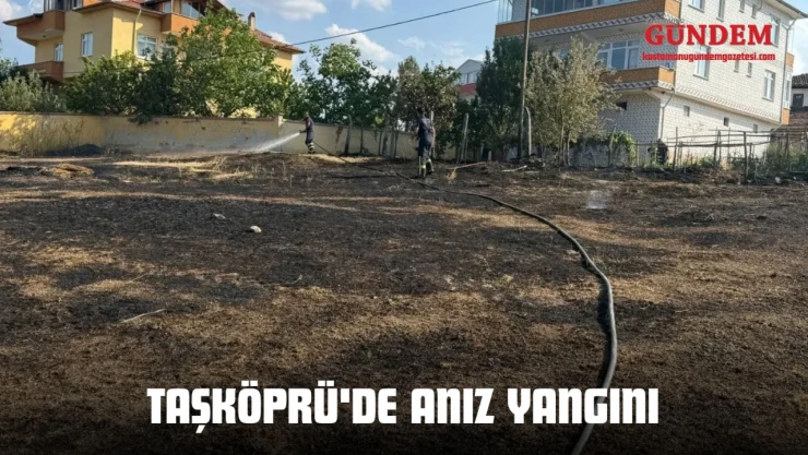 Taşköprü'de Anız Yangını