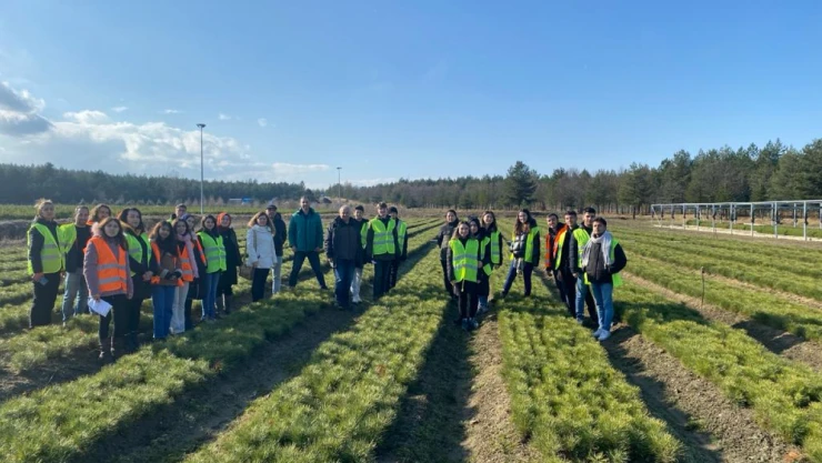 Taşköprü'de Ormancılık Uygulamalarını İncelediler