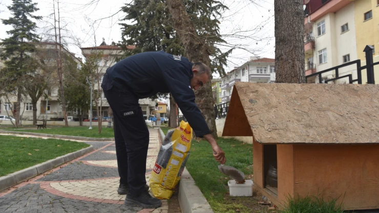 Taşköprü'de Sokak Hayvanlarına Mama Desteği