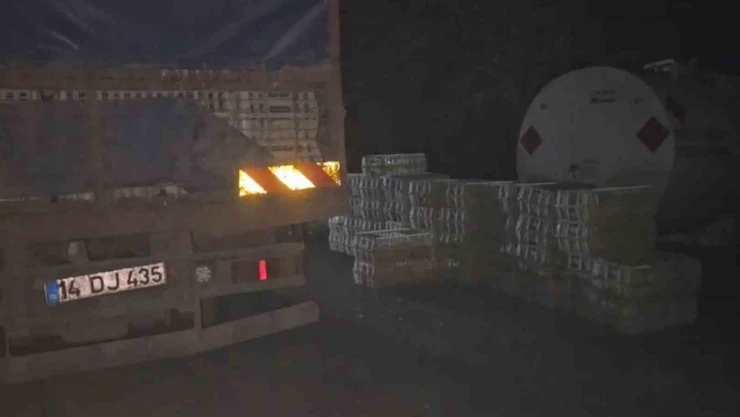 Tavuk Hırsızlarına Jandarma Şoku