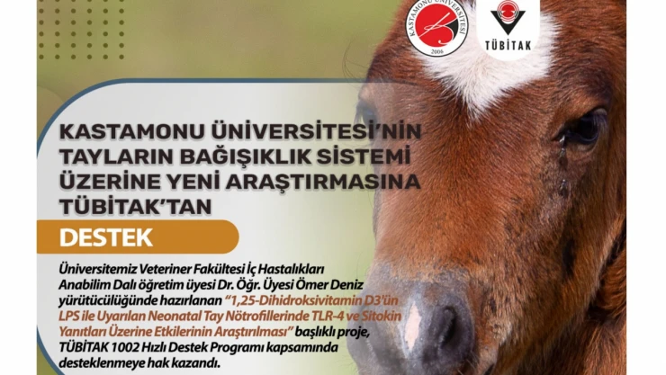 Tayların Bağışıklık Sistemi Araştırılacak