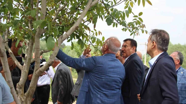 Araştırma Komisyonu, Bolu'da İnceleme Yaptı