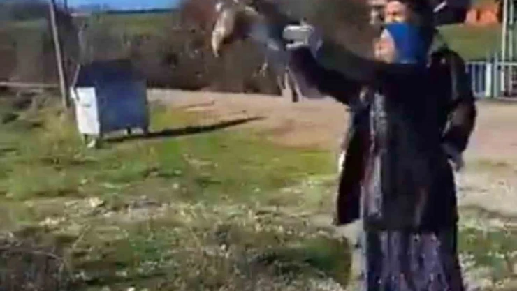 Tedavisi Tamamlanan Şahin Yeniden Doğaya Salındı