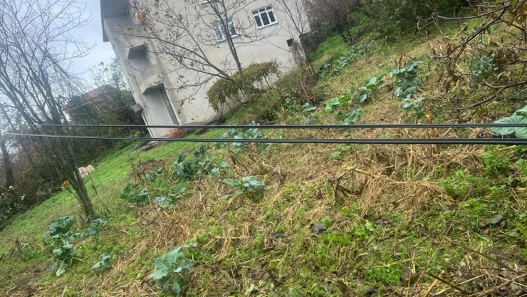 Telefon Direkleri Tehlike Saçıyor