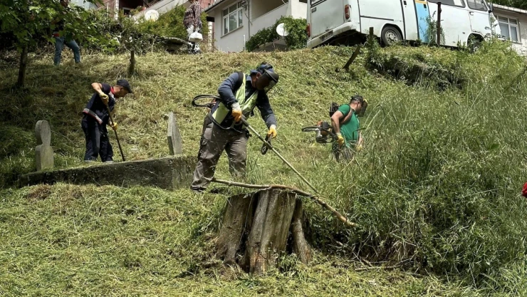 Temizlik Çalışmaları Devam Ediyor