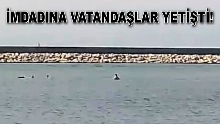 Ters Akıntıyla Canından Oluyordu