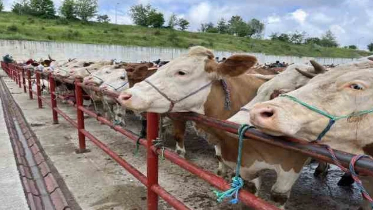 TESK Başkanı Palandöken'den Kurban Satıcılarına 'Sahte Para' Uyarısı