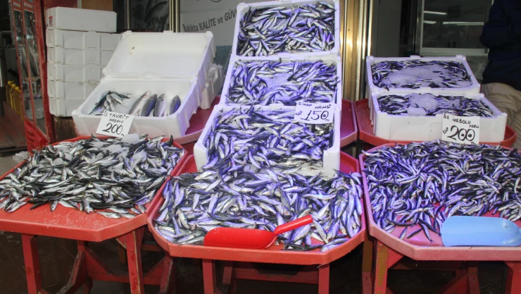 Tezgâhlar Balık Çeşitleriyle Doldu