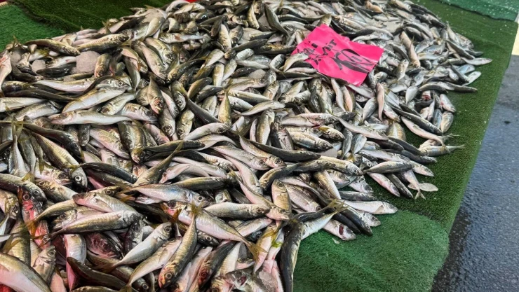 Tezgahlar Balıksız Kalmadı