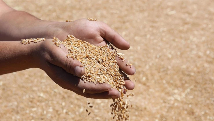 TMO'dan Arpa Satışı Duyurusu