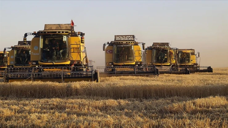 TMO Hububat Alım Bedellerini Aktardı