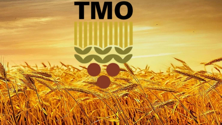 TMO: 'Hububat alımlarımız yoğun şekilde devam ediyor'